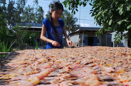 Theo chị Nguyễn Thị Lan cho biết, trung bình 4kg nhái tươi cho ra 1 kg khô nhái.